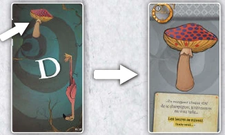 The unique mushroom on a card back.