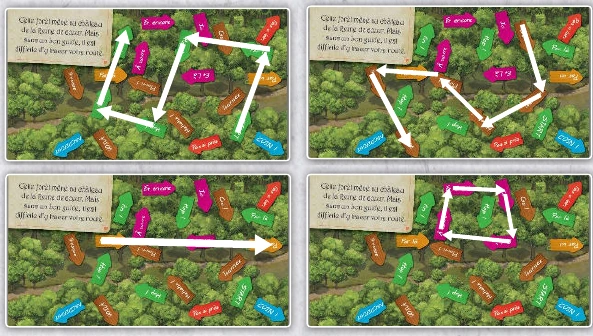 The four traced paths in the solution.